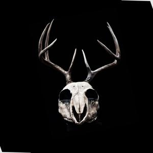 Picture for song 'RAM' by artist 'Zuga'z Beatz'