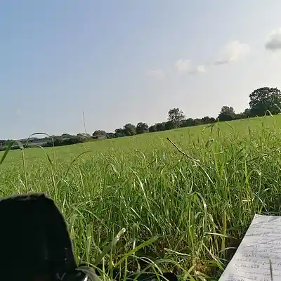 Picture for song '20240819_175559_CAPITAL_Bra_FS_RANDOM_Beat' by artist '786 scheint-Al'lahs Bande'