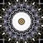 Picture for song 'Throwing Light On Dark Matter' by artist 'Alexandre Falcao'