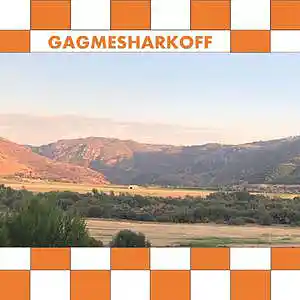 Picture for song 'Steel Reserve Pairs Well With Commercial Real Esta' by artist 'Gagmesharkoff'