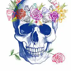 Picture for song 'Savage flute' by artist 'ItamiMusic'