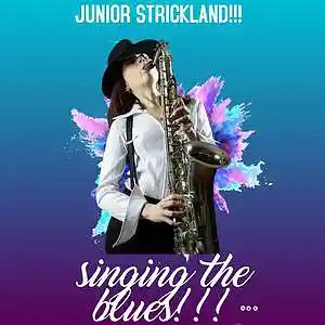 Picture for song 'OLDIE SINGING THE BLUES!!!!!!' by artist 'JUNIOR STRICKLAND'