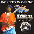 Picture for song 'Can't Deny It... What I Want (O1!'s Mashed Mix)' by artist 'Owns OnE'