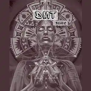 Picture for song 'DMT - Freestyle Type Beat Boom Bap 90s Beat 2021' by artist 'Rojoz'