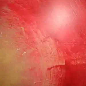 Picture for song 'Lit Mane Demo (FREE DOWNLOAD!)' by artist 'BROTHER P ON THE TRAK'