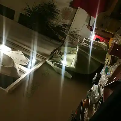 Picture for song '20250301_161726_FS_Sing_USALoVe' by artist '786 scheint-Al'lahs Bande'