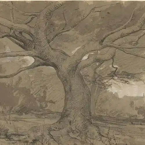 Artist picture