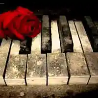 Song picture