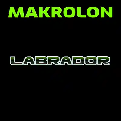 Picture for song 'Labrador (Club Mix)' by artist 'Makrolon2025'