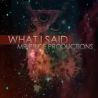 Picture for song 'What I Said(Instrumetal)' by artist 'Mr Price Productions'