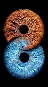 Picture for song 'In your eyes' by artist 'NCsFinest97 Dj Stew'