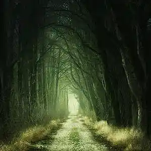 Picture for song 'Phear' by artist 'OzNigj'