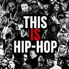 Picture for song 'THIS IS HIPHOP' by artist 'PT Productionz Beats'