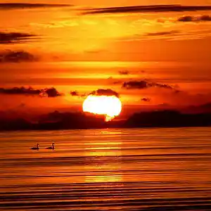 Picture for song 'Farewell (To A Love Of Mine)' by artist '2uo7rax'