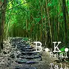 Picture for song 'REAL TALK' by artist 'BEEK THE GEEK'