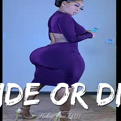 Picture for song 'Ride Or Die' by artist 'Hashtag6eatZ033'