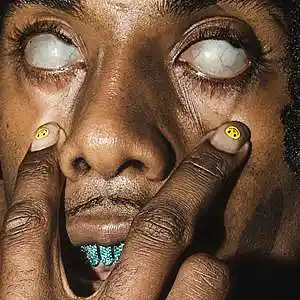 Picture for song 'Angry Psilocybe' by artist 'MaDrumBeats'