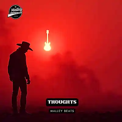 Picture for song 'THOUGHTS [COUNTRY RAP TYPE BEAT]' by artist 'Malley Beats'