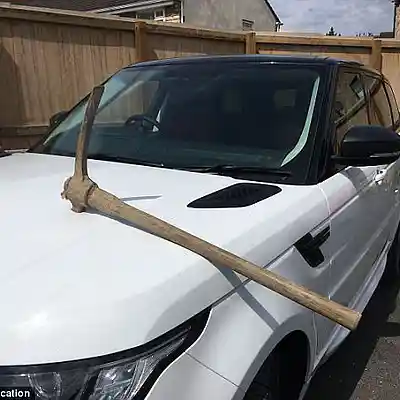 Picture for song 'Malicious Damage' by artist 'Pete Moss and the Weed Wackers'