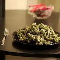 Picture for song 'Trap Spot' by artist 'ProdBySticks'