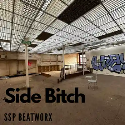 Picture for song 'Side Bitch' by artist 'SSP Beatworx'