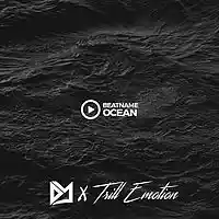 Picture for song 'Ocean (200$ Exclusive Rights)' by artist 'TRILL EMOTION'