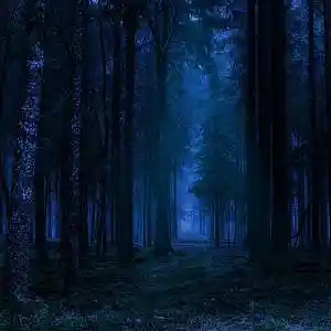 Picture for song 'Nightfall' by artist 'WXRM'