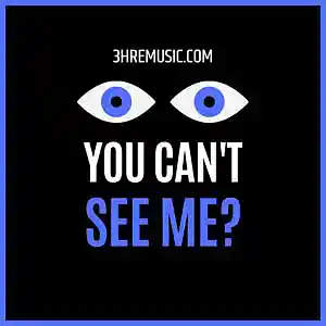 Picture for song 'You Can't See Me' by artist '3HRE MUSIC'