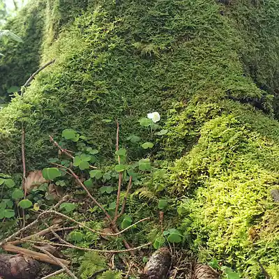 Picture for song '20250424_172813_FS_G_EILEsZeug' by artist '786 scheint-Al'lahs Bande'