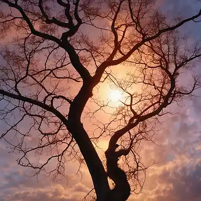 Picture for song 'Mystery' by artist 'ALEXANDREAS'