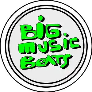 Picture for song 'BEAT ESTILO HUNGRIA BEIJO COM TRAP 808 GRAVE HIP H' by artist 'Big Music Beats'