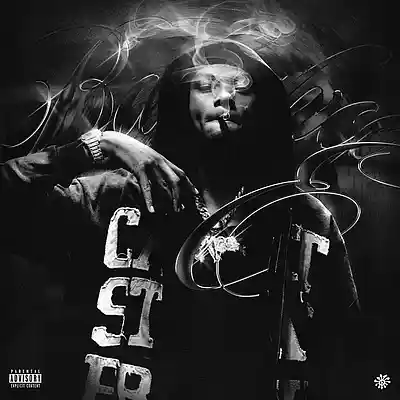 Picture for song 'TOP BOY TYPE BEAT - PREM PREM' by artist 'Bass Drynk'