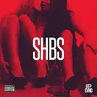 Picture for song '2Much - SHBS (Prod by 2Much)' by artist 'Black Tee Productions'