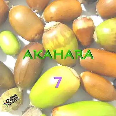Song picture