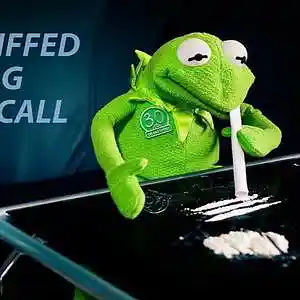 Picture for song 'You Sniffed My Frog' by artist 'JoshPranks'