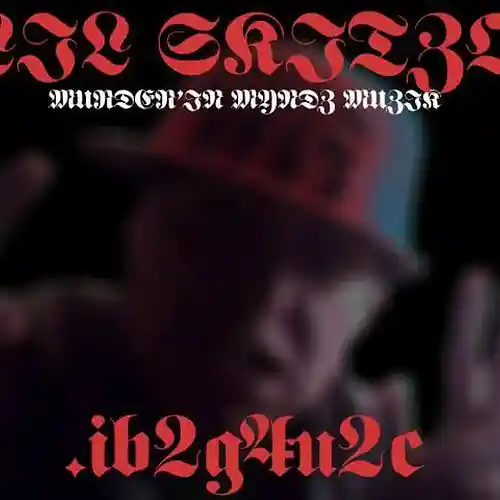 Picture for song 'Something 4 the Drama' by artist 'Lil Skitzo'