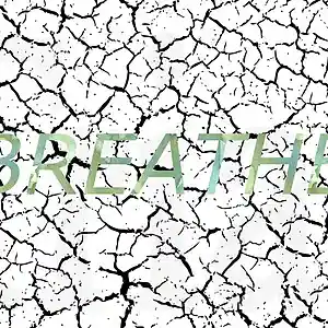 Picture for song 'Breathe' by artist 'lauryl laureth'