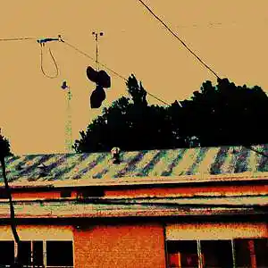 Picture for song 'OKIE BOI GON' SHINE' by artist 'Mirrorz Tha Chief'