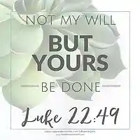 Picture for song 'Surrender To You (Instrumental)' by artist 'My Shepherd King'