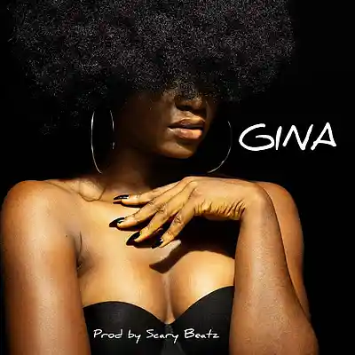 Picture for song 'Gina' by artist 'Scary Beatzs'