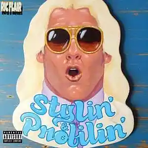 Picture for song 'Stylin And Profilin SkyHigh Production' by artist 'SkyHigh Production'