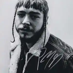 Picture for song 'Post Malone & 21 Savage Type Beat: ROASTED' by artist 'SON Beats'