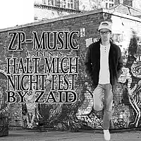 Picture for song 'ZaiD - Halt mich nicht fest' by artist 'ZP Music'