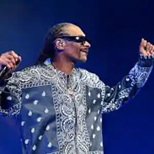 Picture for song 'FEELS SO GOOD Snoop Dogg type beat' by artist 'Beats By Boss'