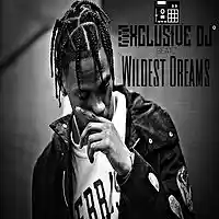 Picture for song 'Wildest Dreams (Travis Scott) (3 Beats for $20)' by artist 'Exclusive DJ Beatz'