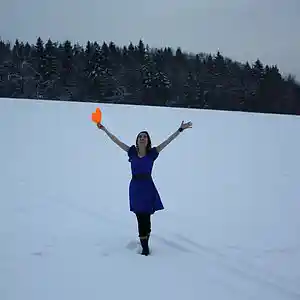 Picture for song 'Adventure Day | Video game music' by artist 'Lena Orsa'