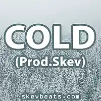 Picture for song 'Hip Hop Beat - Cold (Prod Skev)' by artist 'Skev Beats'