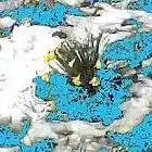 Picture for song 'Smell the Flowers' by artist 'Strange Formations'