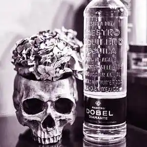 Picture for song '"Tequila" (Buy 2 Get 1 Free)' by artist 'Audiodrux'