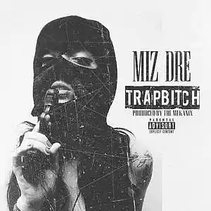 Picture for song 'Gold Digger' by artist 'B TOX INSTRUMENTAL'